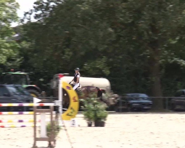 Reitturnier Rot am See Musdorf 2024