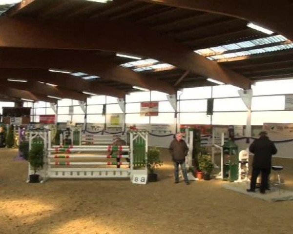 Hallen-Dressur- und Spring-Late-Entry im Reitsportzentrum Gerd Könemann 2013
