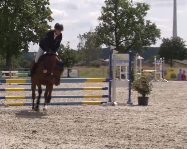 Reitturnier Rot am See Musdorf 2024