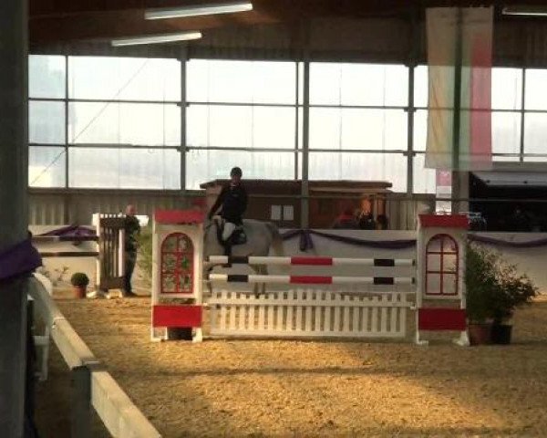 Hallen-Dressur- und Spring-Late-Entry im Reitsportzentrum Gerd Könemann 2013