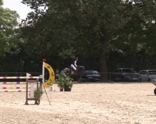 Reitturnier Rot am See Musdorf 2024