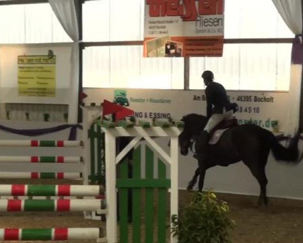 Hallen-Dressur- und Spring-Late-Entry im Reitsportzentrum Gerd Könemann 2013