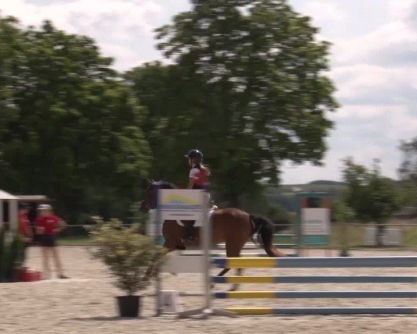 Reitturnier Rot am See Musdorf 2024