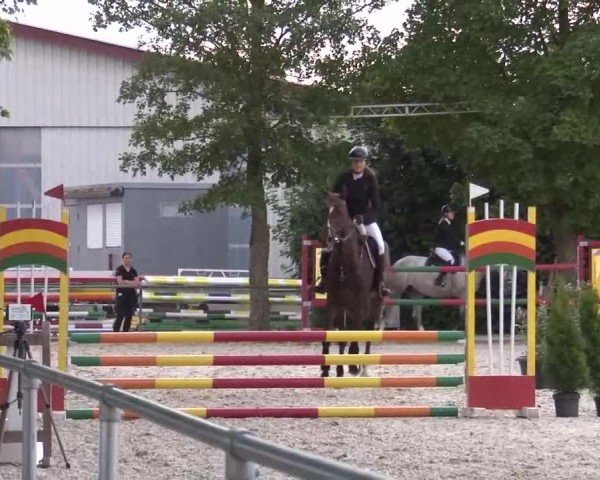 Reitturnier Rot am See Musdorf 2024