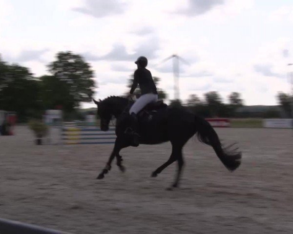 Reitturnier Rot am See Musdorf 2024
