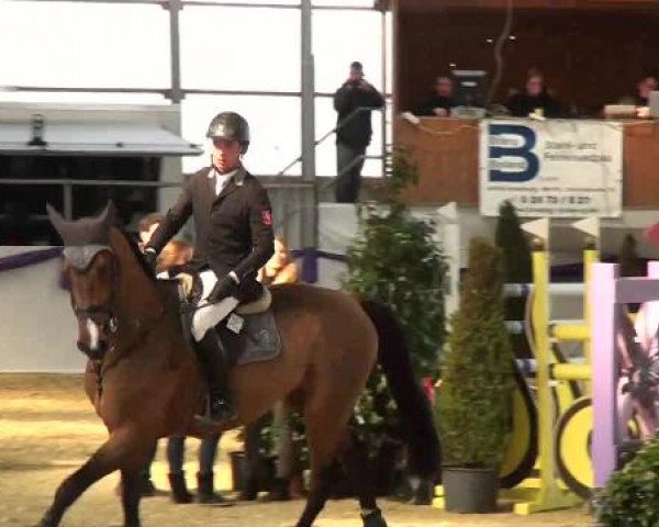 Hallen-Dressur- und Spring-Late-Entry im Reitsportzentrum Gerd Könemann 2013