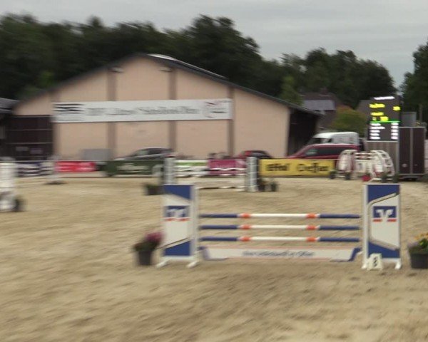 Reitturnier Olfen-Vinnum 2024