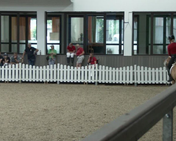 Westfälische Stutenleistungsprüfung Münster-Handorf 2024