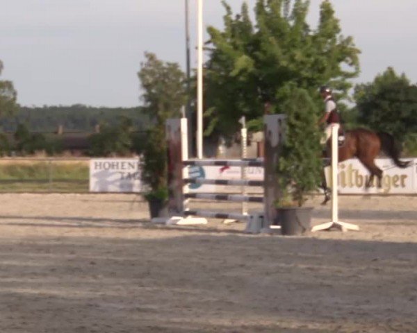 Reitturnier Rot am See Musdorf 2024