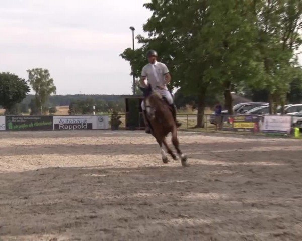 Reitturnier Rot am See Musdorf 2024