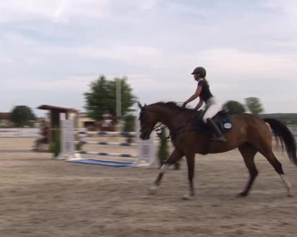 Reitturnier Rot am See Musdorf 2024