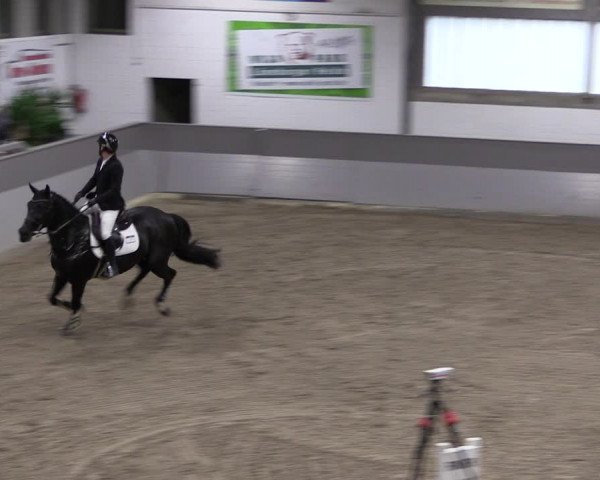 Reitturnier Luhmühlen 2021