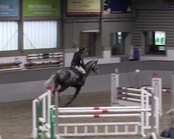 Reitturnier Luhmühlen 2021