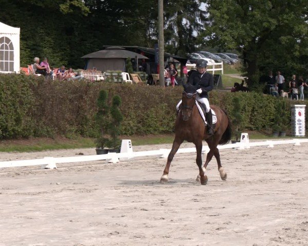 Reitturnier Vlotho-Exter 2024