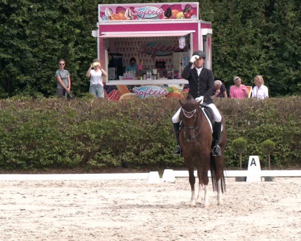 Reitturnier Vlotho-Exter 2024