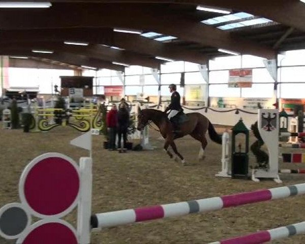 Hallen-Dressur- und Spring-Late-Entry im Reitsportzentrum Gerd Könemann 2013