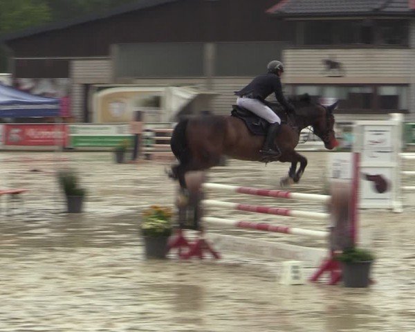 Reitturnier Olfen-Vinnum 2024