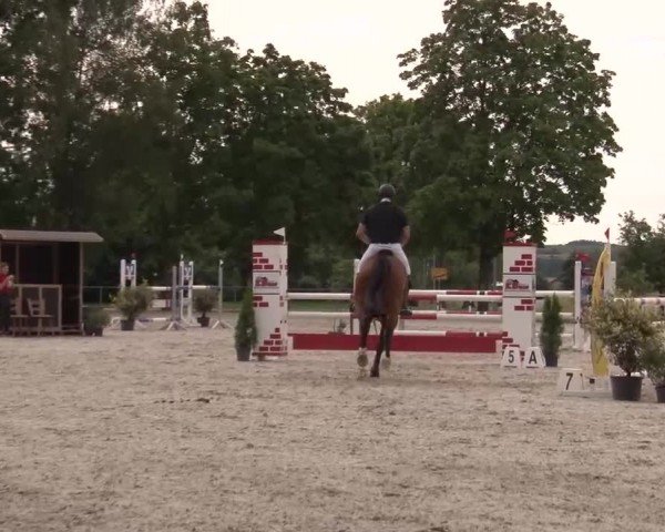 Reitturnier Rot am See Musdorf 2024