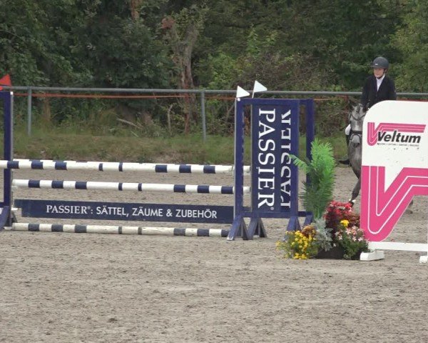 Reitturnier Bad Wildungen 2024