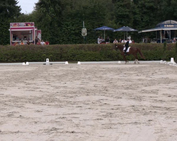 Reitturnier Vlotho-Exter 2024