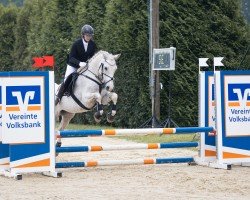 dressage horse Yorick 6 (Pony without race description, 2010)