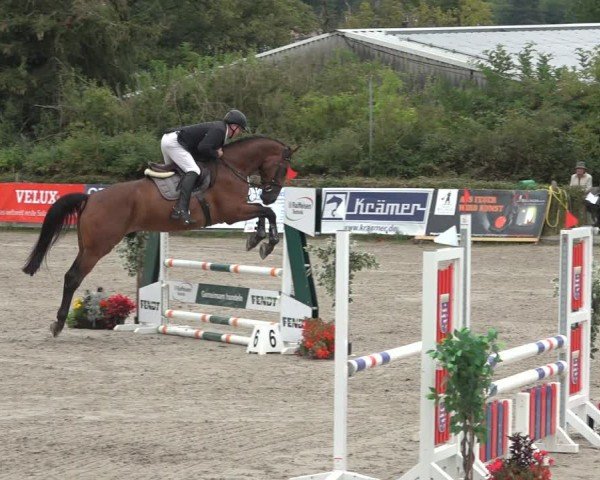 Reitturnier Bad Wildungen 2024