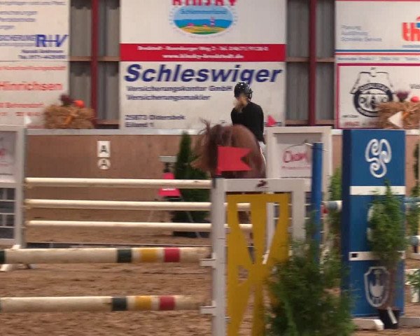 Reitturnier Behrendorf 2021
