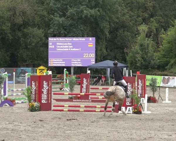 Reitturnier Bad Wildungen 2024
