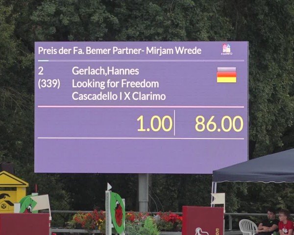 Reitturnier Bad Wildungen 2024