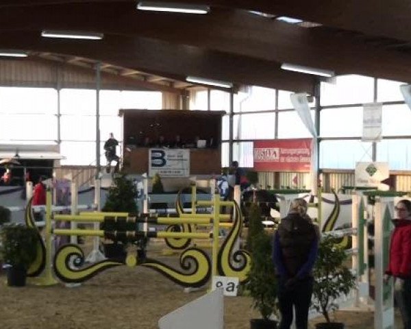 Hallen-Dressur- und Spring-Late-Entry im Reitsportzentrum Gerd Könemann 2013