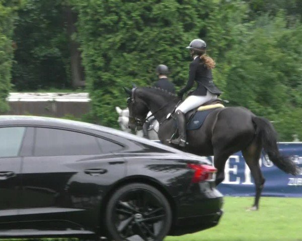 Reitturnier Hannover/Reiterstadion 2024