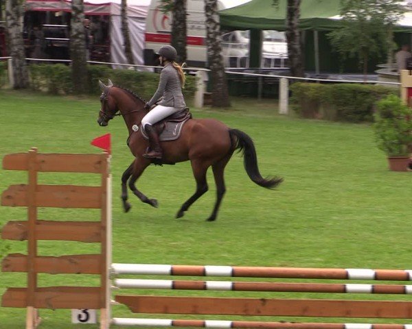 Reitturnier Etingen 2024