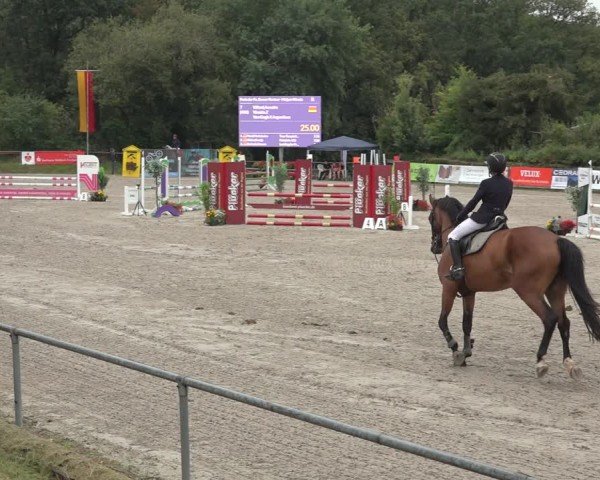Reitturnier Bad Wildungen 2024