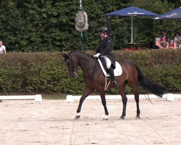 Reitturnier Vlotho-Exter 2024