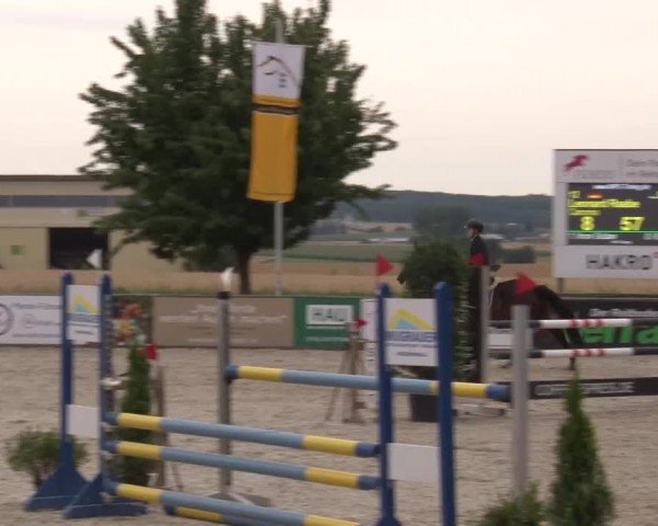 Reitturnier Rot am See Musdorf 2024
