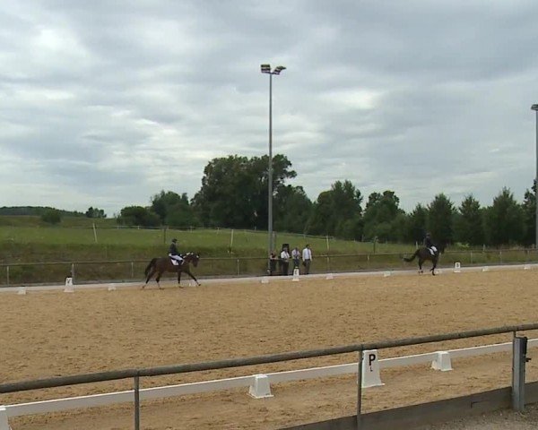 Reitturnier Altentrüdingen/Mfr. 2024