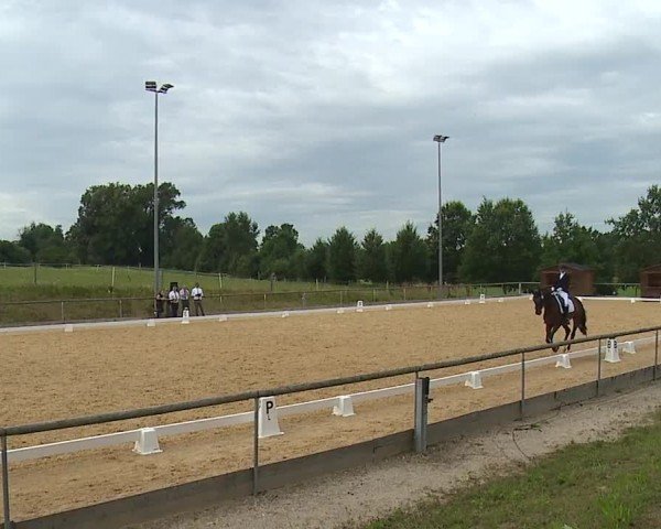 Reitturnier Altentrüdingen/Mfr. 2024