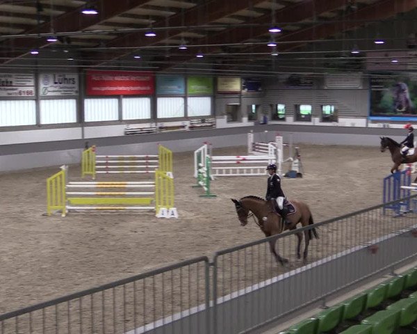 Reitturnier Luhmühlen 2021