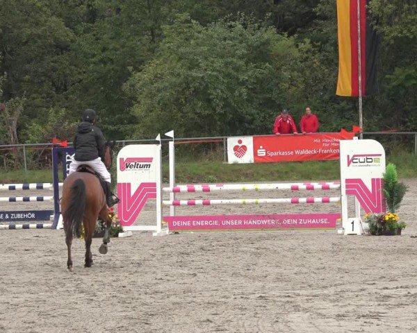 Reitturnier Bad Wildungen 2024