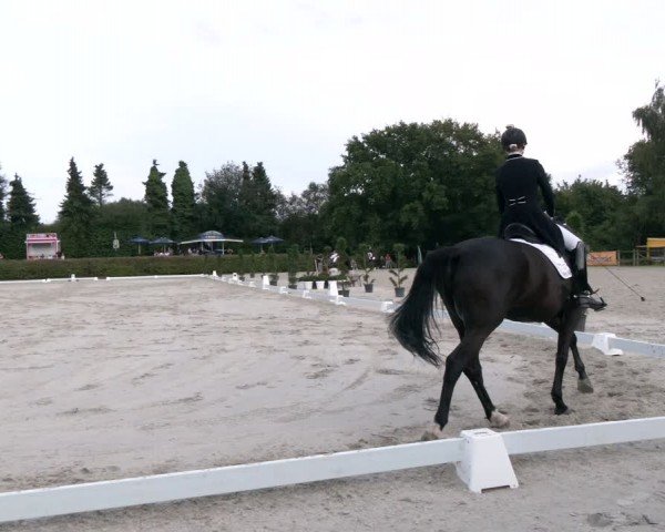 Reitturnier Vlotho-Exter 2024