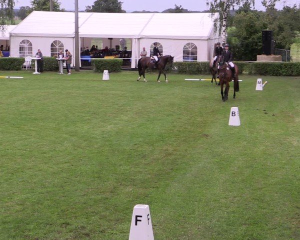Reitturnier Etingen 2024