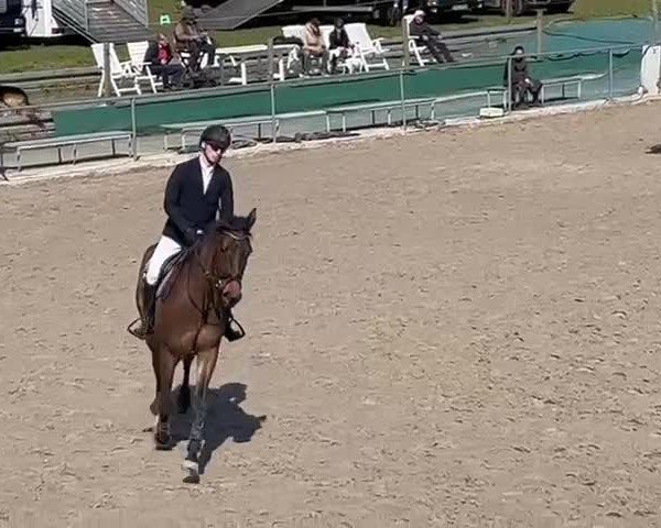 Video of Blockbuster Jun