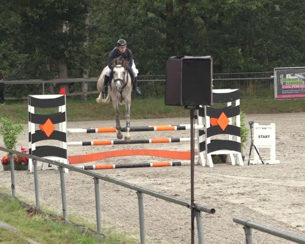 Reitturnier Bad Wildungen 2024