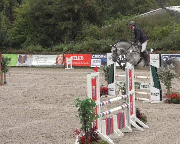Reitturnier Bad Wildungen 2024