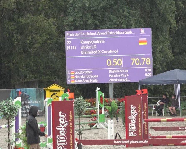 Reitturnier Bad Wildungen 2024
