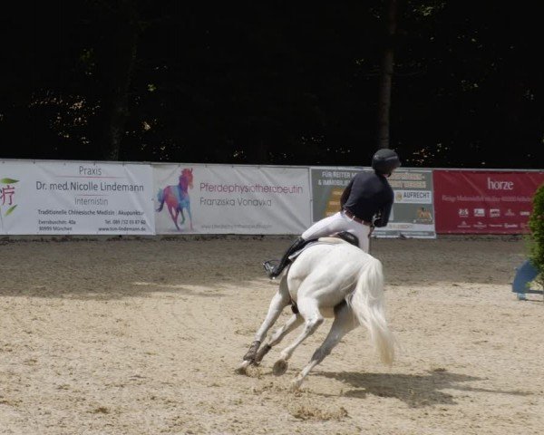 Reitturnier Karlsfeld/Obb. 2024