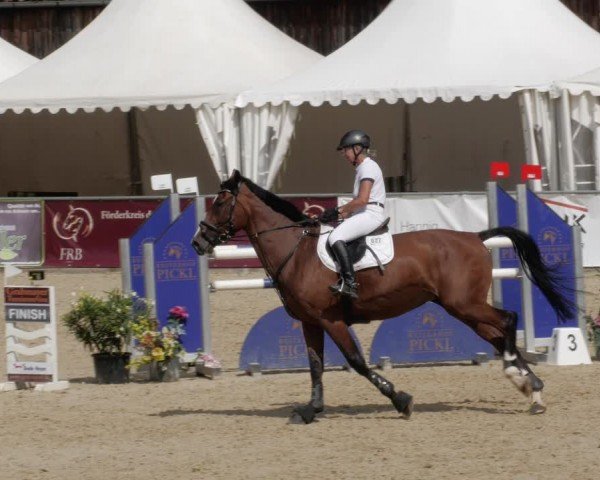 Reitturnier Karlsfeld/Obb. 2024