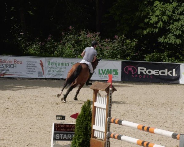 Reitturnier Karlsfeld/Obb. 2024