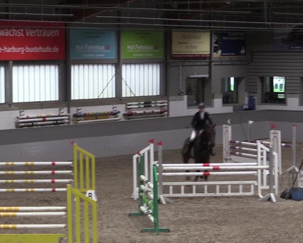 Reitturnier Luhmühlen 2021