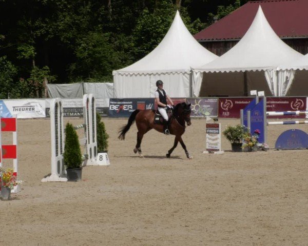 Reitturnier Karlsfeld/Obb. 2024